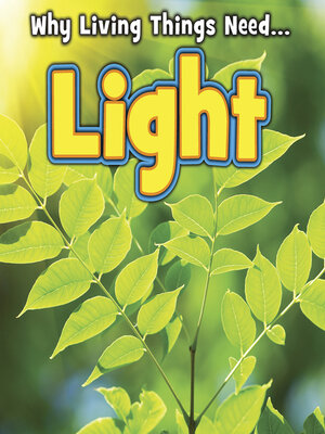 cover image of Light